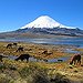 BucketList + Visit Explora Chile Patagonia And ... = ✓