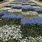BucketList + Grow An Herb Garden = ✓