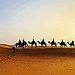 BucketList + Sandboarded In The Sahara Desert = ✓