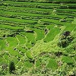 BucketList + Visit Se Asia (India, Nepal, ... = ✓