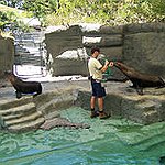 BucketList + Go To The National Zoo = ✓