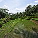 BucketList + Visit Indonesia = ✓