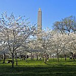 BucketList + Go To Washington D.C. In ... = ✓