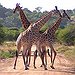 BucketList + Visit South Africa = ✓