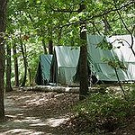 BucketList + Go Camping In The Woods = ✓