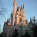 BucketList + Visit Every Disney Park = ✓
