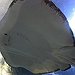 BucketList + Swim With Sting Rays = ✓