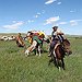 BucketList + Travel Mongolia - Stay In ... = ✓