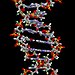 BucketList + Take A Dna Test To ... = ✓