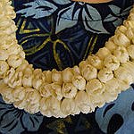 BucketList + Wear A Fresh Lei = ✓
