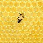BucketList + Visit The The Beehive Tombstone ... = ✓