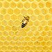 BucketList + Visit The The Beehive Tombstone ... = ✓