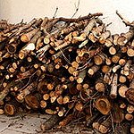 BucketList + Chop Firewood = ✓