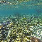 BucketList + Take An Underwater Selfie = ✓