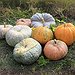 BucketList + Paint Pumpkins = ✓