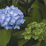 BucketList + Take A Class On Flower ... = ✓