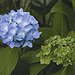 BucketList + Take A Class On Flower ... = ✓