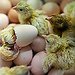 BucketList + Hatch Baby Chicks = ✓