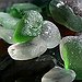 BucketList + Find Seaglass = ✓