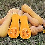 BucketList + Try Roasted Butternut Squash Soup = ✓