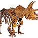 BucketList + Escavar Um Dinossauro (Qualquer Um) = ✓