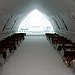 BucketList + Stay At An Ice Hotel = ✓