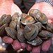 BucketList + Go Clam Digging = ✓