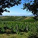 BucketList + Wine Tour Through Italy = ✓