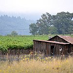 BucketList + Wine Tour Through Napa Valley = ✓