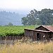 BucketList + Wine Tour Through Napa Valley = ✓