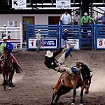 BucketList + Attend A Rodeo = ✓