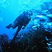 BucketList + Get My Scuba Diving License. = ✓