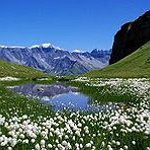 BucketList + Go Hiking In The Mountains ... = ✓