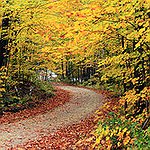 BucketList + Kick Autumn Leaves. = ✓