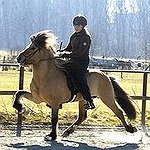 BucketList + Ride A Pony. = ✓