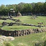 BucketList + The Zoo = ✓