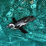 BucketList + Visit Boston Aquarium. = ✓