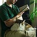 BucketList + Volunteer At An Animal Shelter = ✓