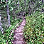BucketList + Walk 5 Miles In One ... = ✓
