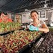 BucketList + Grow Microgreens To Feed Myself ... = ✓