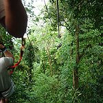 BucketList + Go On A Zipline. = ✓