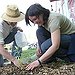BucketList + Start A Community Garden = ✓