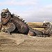 BucketList + Go To Galapagos Islands = ✓