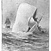 BucketList + Read Moby Dick = ✓
