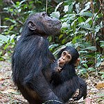 BucketList + Help Protect Animals From Cruelty = ✓