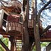 BucketList + Experience Tarzan's Treehouse, Disneyland = ✓