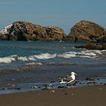 BucketList + Visit Channel Islands National Park = ✓