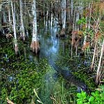 BucketList + Visit Everglades National Park = ✓