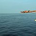 BucketList + Diving In The Ocean = ✓