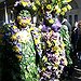 BucketList + Attend Mardi Gras In New ... = ✓